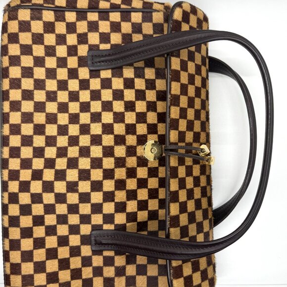 Vintage Limited Edition Louis Vuitton Damier Sauvage Lionne Pony Hair Handbag - Picture 6 of 12